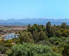 Landscape at the Calitzdorp Spa, a short way outside Calitzdorp.