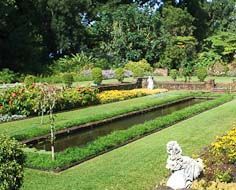 A section of the Durban Botanical Gardens.
