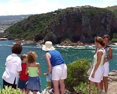 At the Featherbed Nature Reserve in Knysna visitors get to hike from the top of the Western Head down to, and along, the beautiful Knysna Estuary.