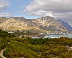 The 'cliff path' at Hermanus follows the rocky coastline in and outside of Hermanus for kilometres and perfectly compliments long walks in search of the perfect whale sighting.