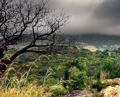 Heavy weather rolls in over a typical landscape in the Mthethomusha Private Game Reserve on the southern border of the Kruger Park.