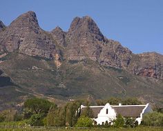 A typical wine farm or estate in the Wellington region of South Africa's Western Cape province. The buildings in the picture are in the Cape-Dutch architectural style.