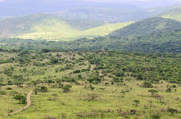 Hluhluwe-Umfolozi Game Reserve