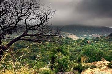 Mthethomusha Private Game Reserve - typical landscape