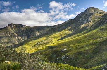 View from the Outeniqua Pass