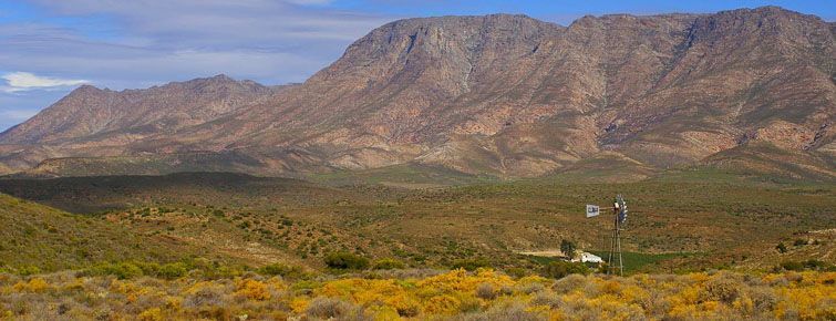 Landscape near Barrydale