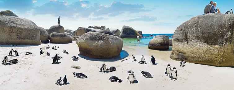 Boulders Beach