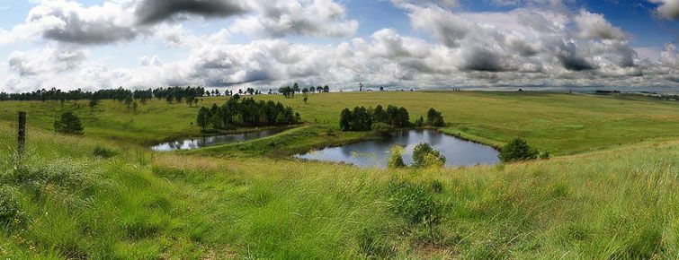 Dullstroom trout dams