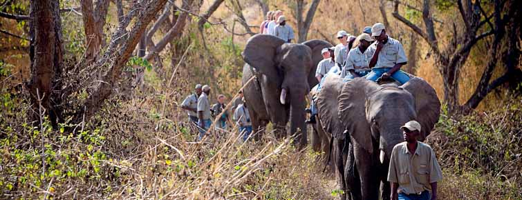 Elephant-back riding at Elephant Whispers