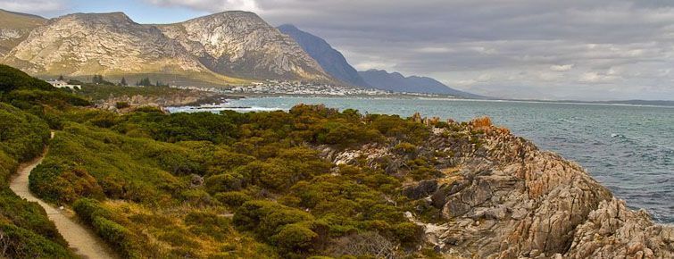 The shoreline 'cliff path' at Hermanus