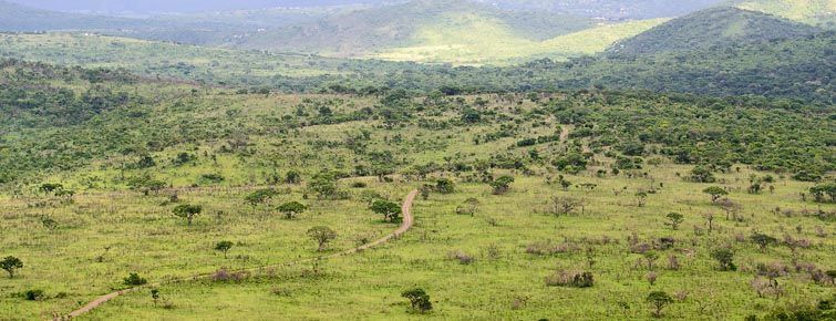 Hluhluwe-Umfolozi Game Reserve