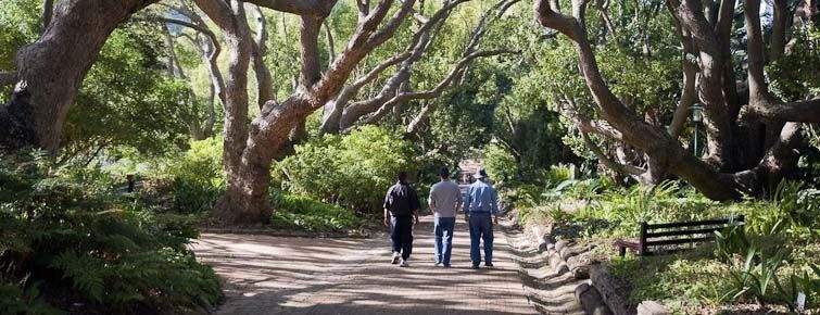 Kirstenbosch National Botanical Gardens