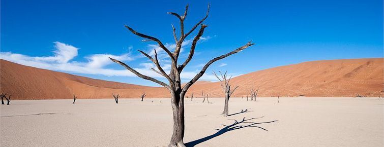 A desert scene near Kulala Desert Lodge