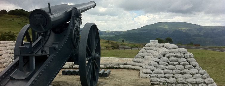 Long Tom Pass cannon