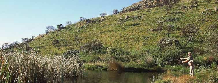 Mount Anderson trout fishing