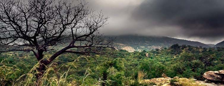 Mthethomusha Private Game Reserve - typical landscape