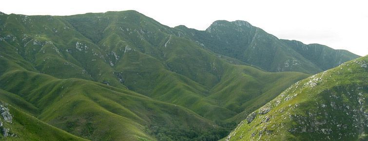 The Outeniqua Mountains