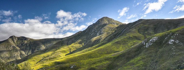 View from the Outeniqua Pass