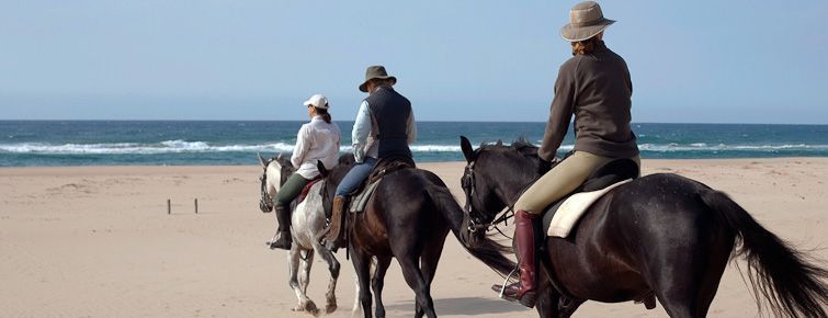 Horse-riding on the beach