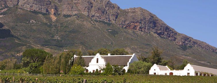 A Wellington region wine farm